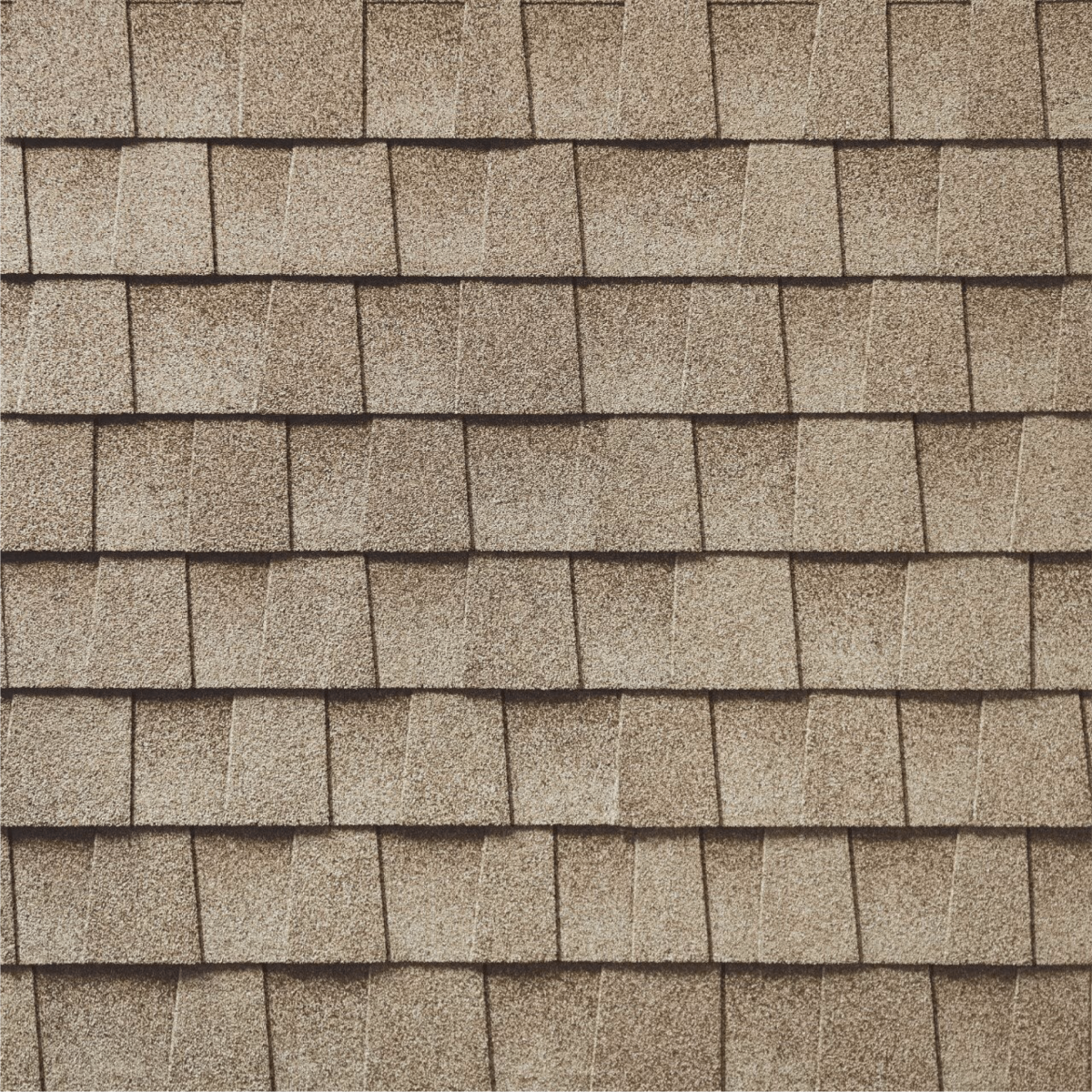 South Creek Roofing & Waterproofing Inc. Images