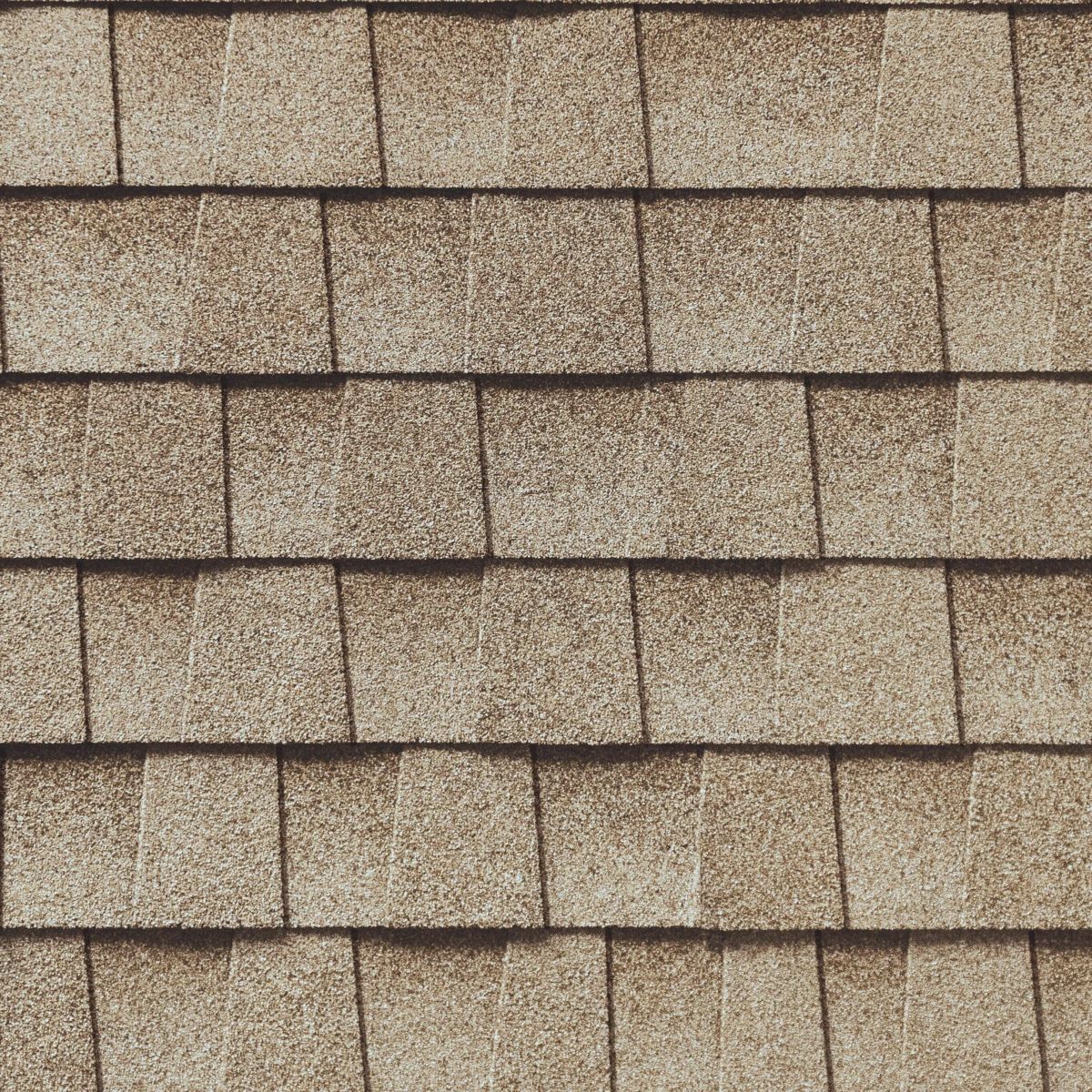 South Creek Roofing & Waterproofing Inc. Images