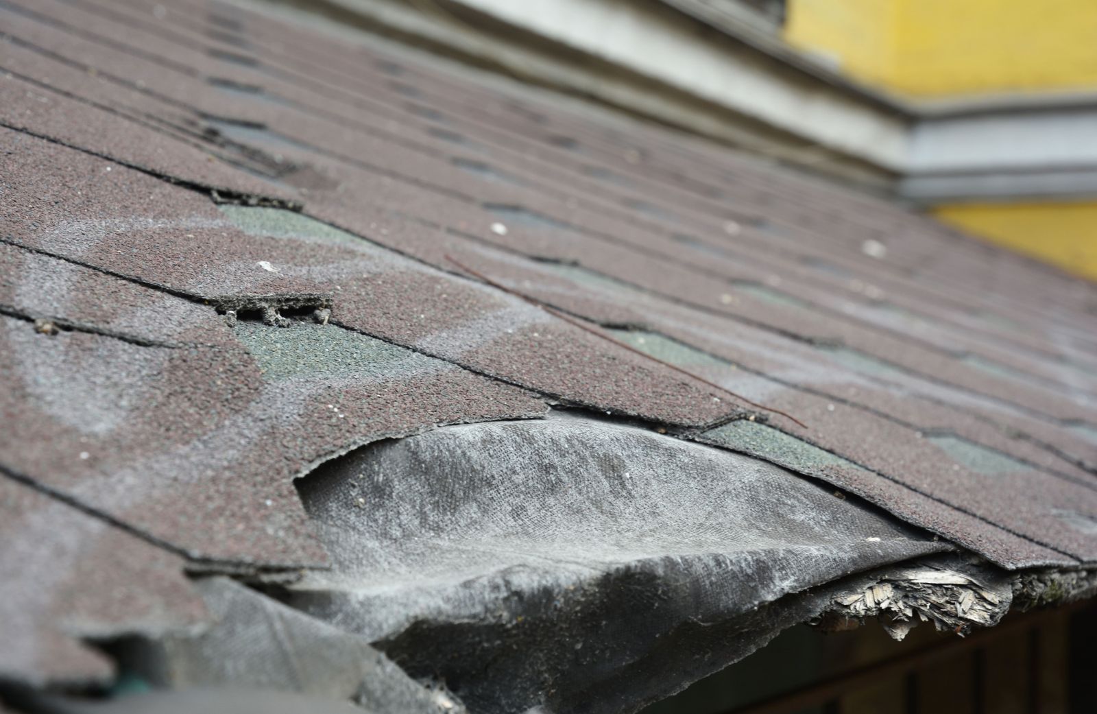 South Creek Roofing & Waterproofing Inc. Images